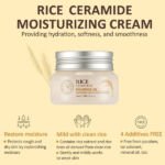 THE FACE SHOP - Rice & Ceramide Moisturizing Cream